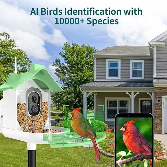 Smart Bird Feeder Camera AI Bird identification, Photos/Videos Phone App - Picture 5 of 8